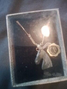 Silver Horsehead Pendant Necklace with Medallion Charm Jade Gemstone